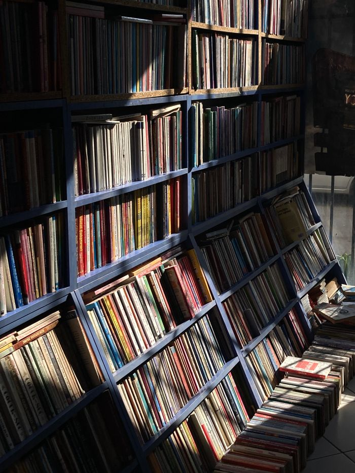 A sunlight-dappled bookshelf filled with various books in a quiet library.
